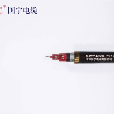 NH KVV22-450/750v 19x2.5  Ƶ