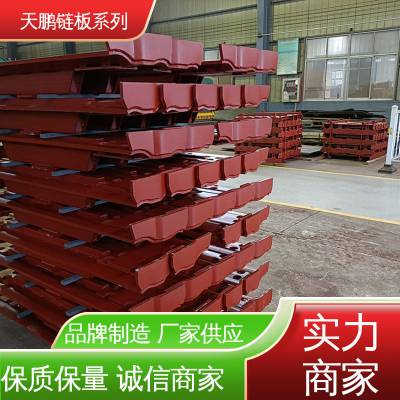 天鹏机电 耐锈蚀 不锈钢链板 操作方便 工作稳定 可根据客户需求订做