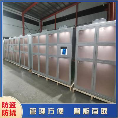 智能储物柜 更衣柜厂家 工具箱 装备柜 现场安装完善售后服务体系