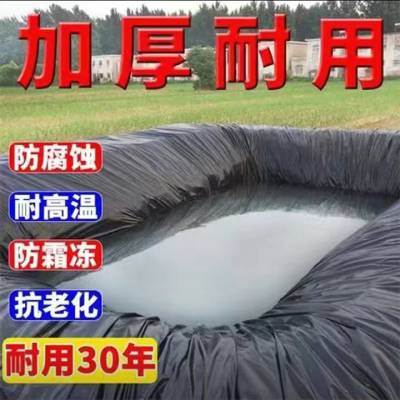 鱼塘膜 防渗膜 蓄水池膜 化粪池膜 防漏水利工程 土工膜 鱼虾藕塘护坡黑膜