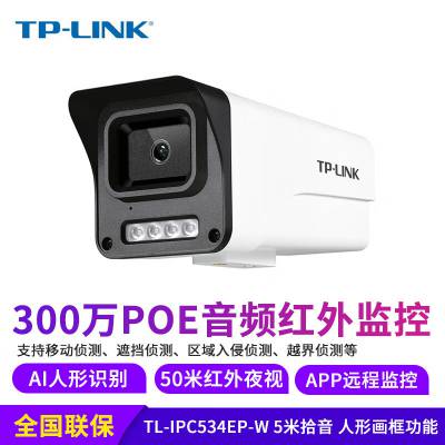 TP-LINK TL-IPC534EP-W8 300Ƶ˫AIμͷ