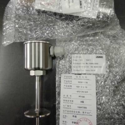 ¹ JUMO 絼̽ͷ 202924/21-0001-1005-613-83-31-31/000 ֻ
