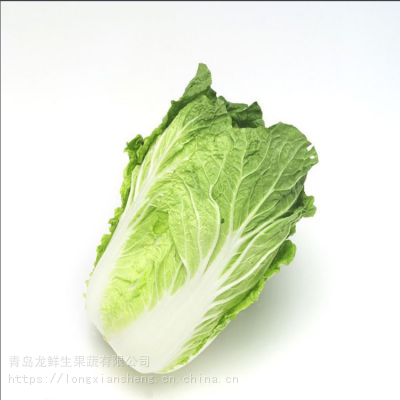 СŰײ_дײ˳ڻ
