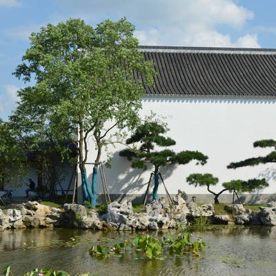 天然景观石风景石厂家 天然太湖石 中式庭院造景窟窿石 奇石