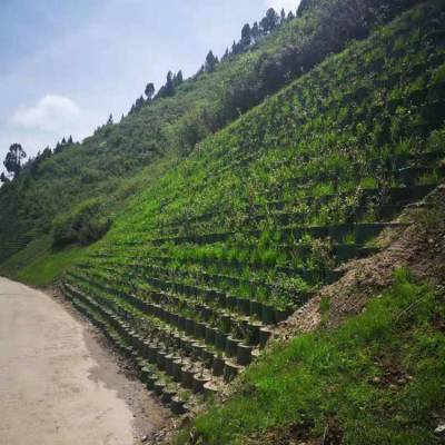 生态护坡绿化蜂巢约束系统 河道边坡治理蜂巢土工格室