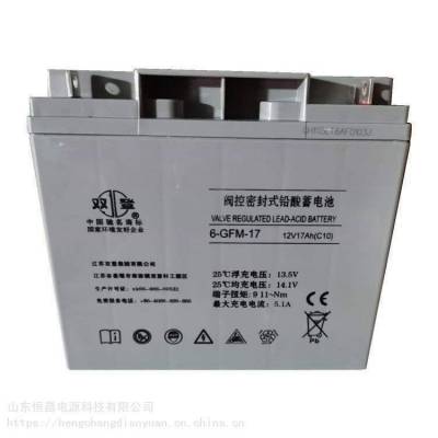 双登蓄电池12V17AH消防系统6-GFM-17机房UPS应急电源 监控设施