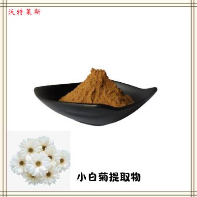 杭白菊提取物/小白菊提取物 0.8%小白菊内酯 HPLC检测 规格可选