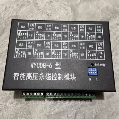 WYCDG-6型智能高压永磁控制模块-电光