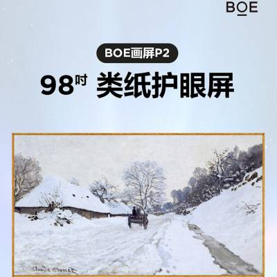 BOELZHY98P600 98Ӣʾ칫ֽ