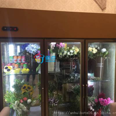 丽水风冷鲜花保鲜柜，泰州不锈钢鲜花冷藏柜1.2米，徽点鲜花柜三面玻璃
