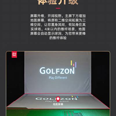 GOLFZON 高尔夫尊 全新TWOVISION 室内高尔夫模拟器 韩国进口3D高尔夫模拟