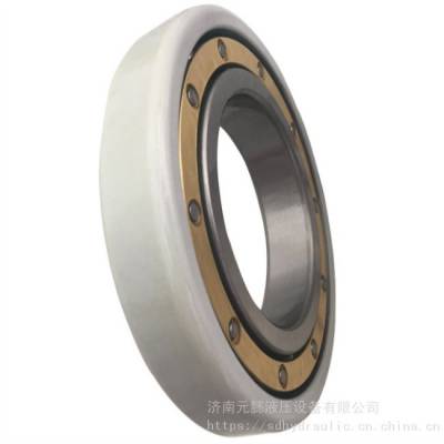 力士乐A2FO32臂架泵轴承A7VO55液压泵轴承A6VM160液压马达轴承