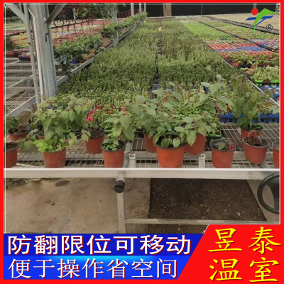 蔬菜花卉苗床潮汐苗床移动育苗床昱泰温室大棚材料YTWSMC1659