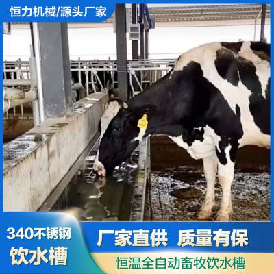 养牛设备牛用恒温饮水槽 养殖场使用4米304不锈钢电加热饮水器