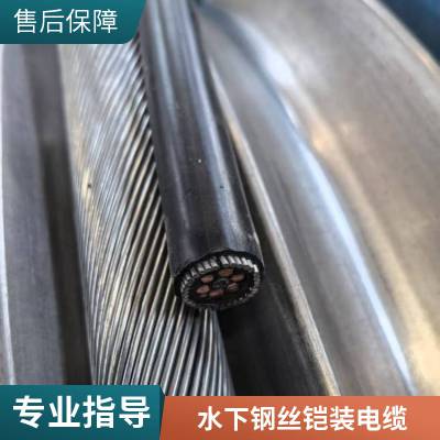 标柔水密电缆 防海水耐腐蚀水下机器人用钢丝铠装承重电缆