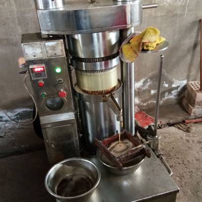 新式茶油大型榨油设备山茶油立式榨油机现货油茶果新型液压榨油机