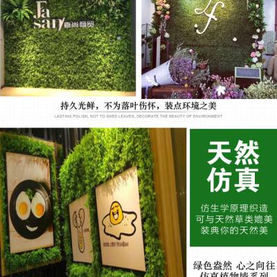 广州丰草工厂直营仿真植物门头招牌绿植墙面装饰塑料假草水果地垫仿真塑料假花草