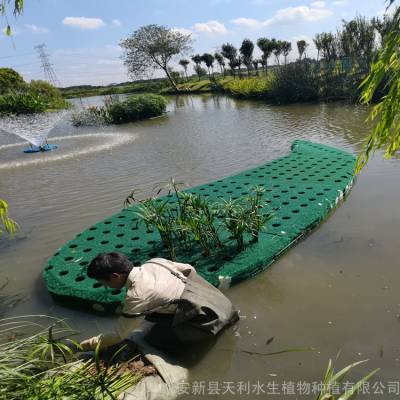 复合纤维浮动湿地,漂浮湿地,净化水质,人工浮床