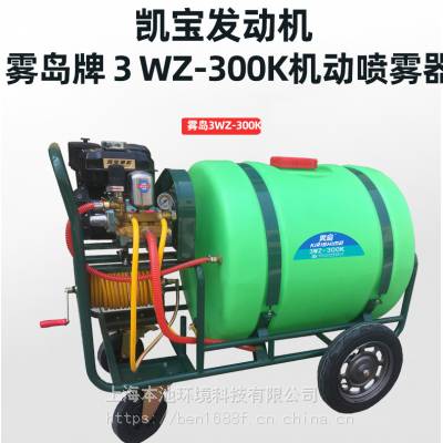 雾岛3WZ-300K手推式喷雾器杀菌防臭凯宝170四冲程机动喷雾机