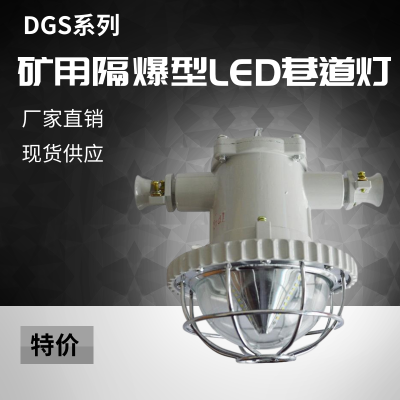 DGS80/127L(A)矿用巷道灯 铸铝外壳 矿用巷道灯现货 DGS80/127L(A)矿用巷道灯