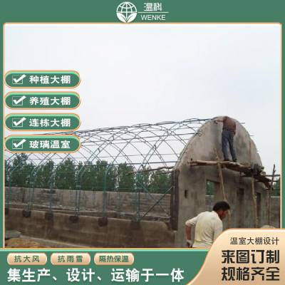 重庆市育苗的温室大棚跨度大全钢架大棚可实地测量