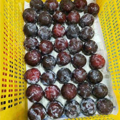 广州蔬菜配送-和康食品-广州工厂蔬菜配送