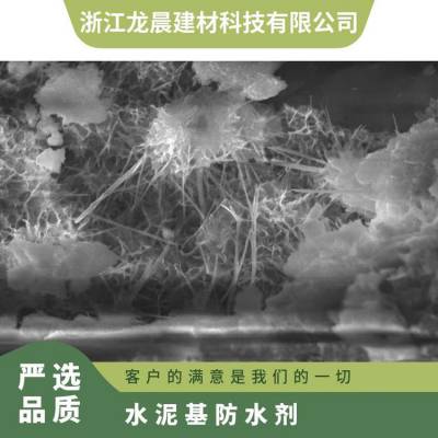 龙晨水泥基渗透结晶型防水材料裂缝修复透气防水砂浆抗渗性强水