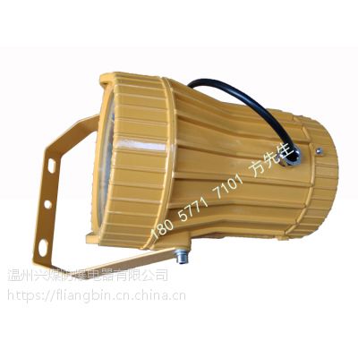 DGC80/127L(B)���ø�����LEDͶ���