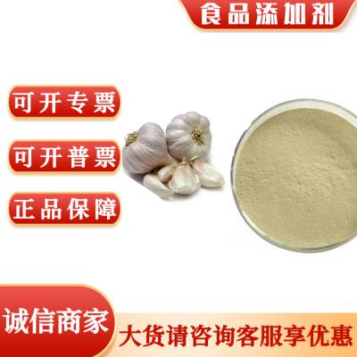 大蒜粉厂家 食用大蒜粉 调味料撒料烘焙糕点用