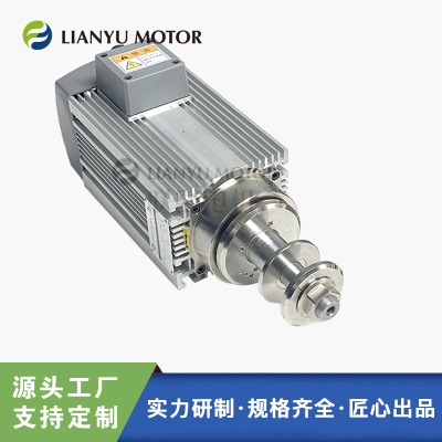 LIANYU MOTOR ٴĥ ɰ׹ӹĥ