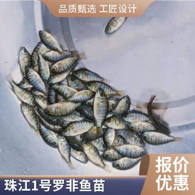 ޷ ֳ޷޷͵ ޷ˮ