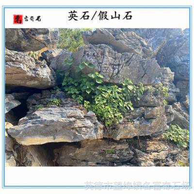 广东出口韩国的英石-水池假山造景石-景观庭院英德石摆放