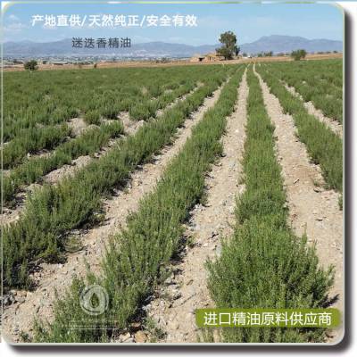 迷迭香精油 精油原料 法国产地进口 芳疗香熏油 Rosemary OIL