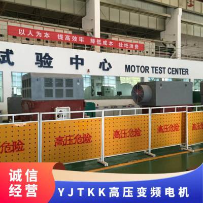 泰富西玛调速电机YJTKK5603-12-450kw更环保更节能电压6-10KV