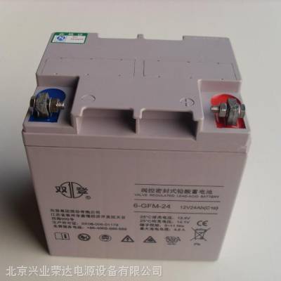 ˫6-GFM-24/12V24AH ֱ