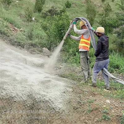 淮安山坡喷浆加固施工队 绿化喷播价格 阳迪边坡绿化植草施工