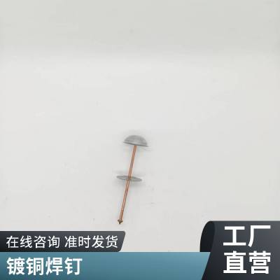 盛钉 船用 铁钉镀铜 船厂碰钉 盖帽焊接工艺 实力工厂 各地发货
