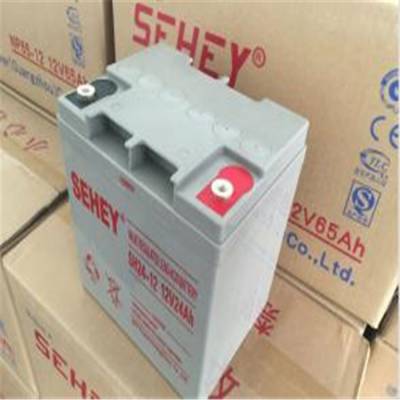 SEHEY西力蓄电池NP2-800AH/西力2V800AH蓄电池广西省代理商