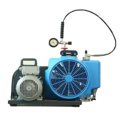 宝华BAURE 100TE高压呼吸空气压缩机充气泵