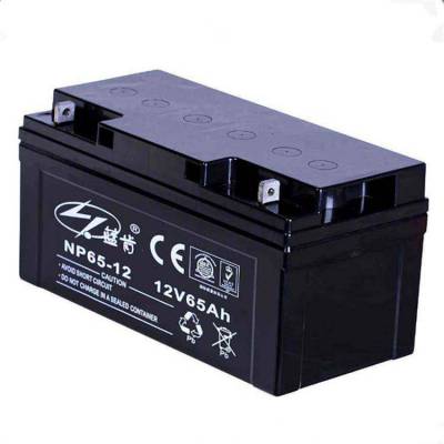 蓝肯蓄电池NP200-12 12V200AH机房配电室 UPS电源配套