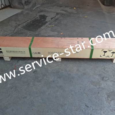 Cummins K19͹207770/3066877