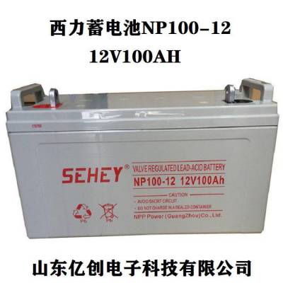 SEHEYNP100-1212V100AHӦϵͳ