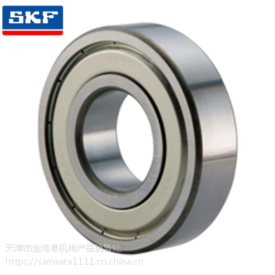 SKF6030 6032 6034 6036 6038ZZ/2RS