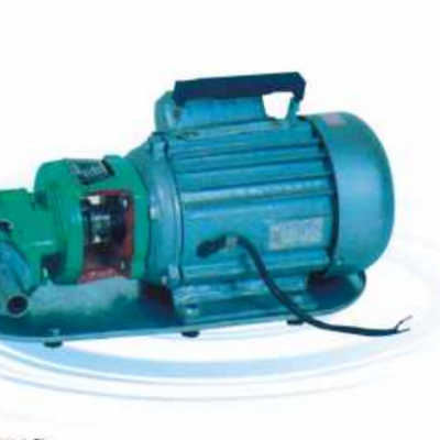 鄂州市WCB30 微型齿轮式输油泵供应销售