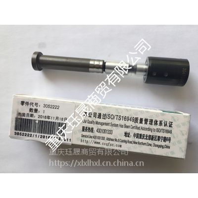 康明斯OEM喷油器柱塞3052222 重汽重油Cummins