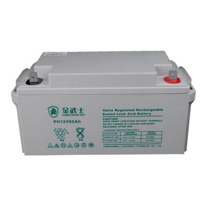 金武士蓄电池 PH12-65 直流屏 UPS不间断通信电源 12v6***h 铅酸免维护蓄电池