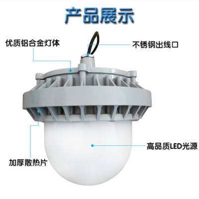 GMD9151防眩泛光灯 LED防爆平台灯100W