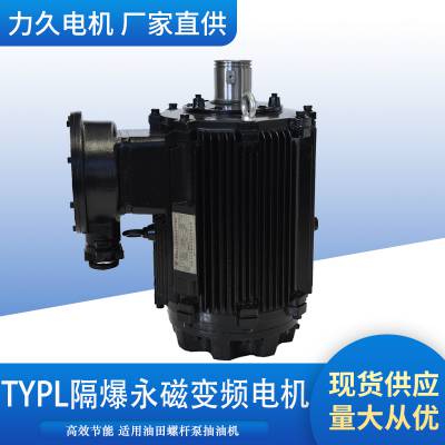 TYPLϵ(IP55)2űƵֱݸ˱õϵͳ