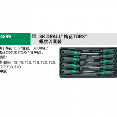 ¹3K DRALL ÷TORX˿װ:4856/4899