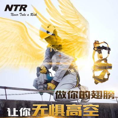 耐特尔NTR全身式五点式欧式涤纶安全带工地施工高空作业外墙清洗